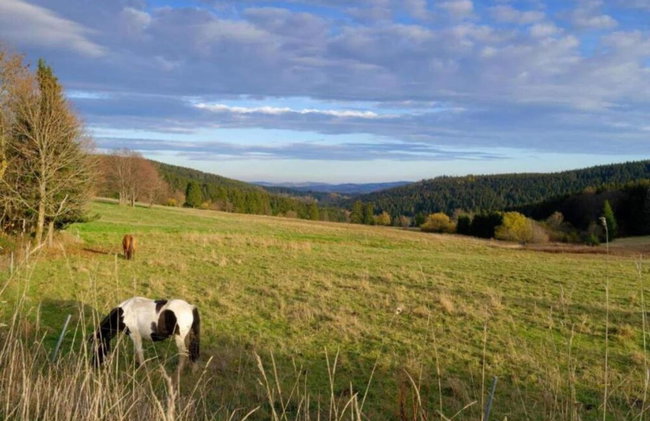 Ferienhaus in Altenfeld Thuringen mit Garten - Foto 129