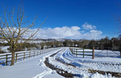 The Den, Coves House - Foto 27