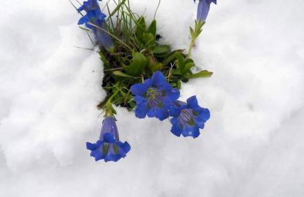 Casa Tiziano e Nila - Photo 48