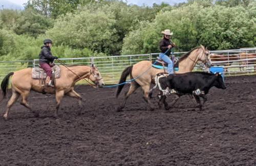 Abode at the Homestead - Foto 69