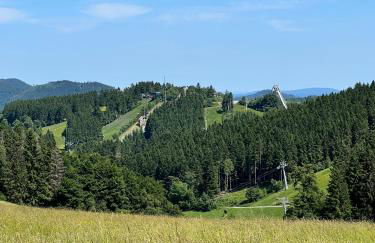 Ferienwohnung Panoramablick Postwiese - Foto 30