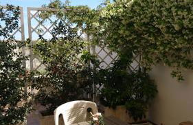 Stella Dei Campi - Foto 23