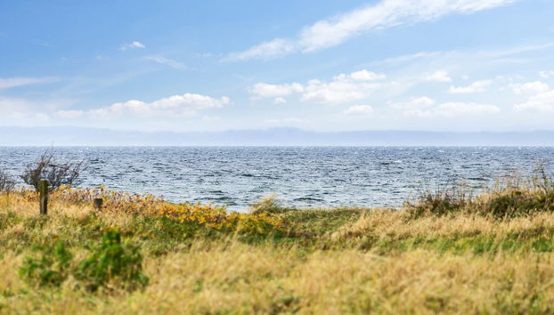 "Thara" - 100m from the sea - Foto 2, Outdoor