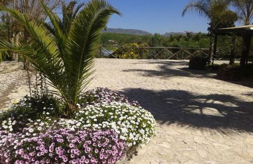 Ciuci's Manor - Foto 42