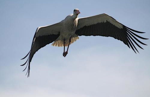 Ferienwohnung K1889 Rheine - Elin - Foto 23