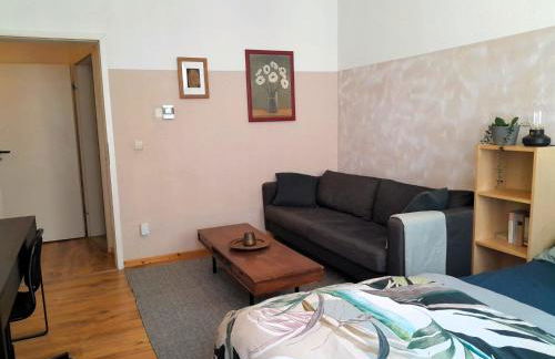 Spacious 2-room-Apartment in Leutzsch - Foto 24