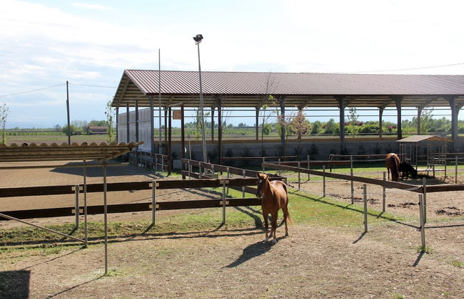 Agriturismo Palazzo Minelli - Foto 25