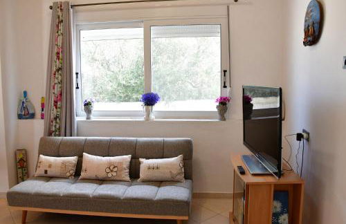 Da Vinci kavouropetra - Foto 43