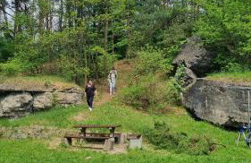 Niezapominajka - Foto 56