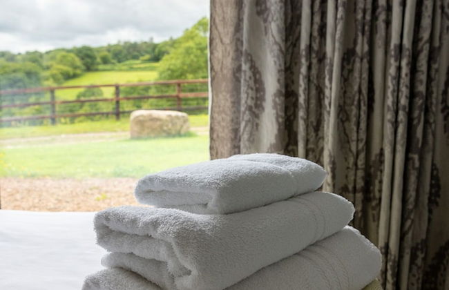 Welsh Marches at Upper Glyn Farm - Foto 11