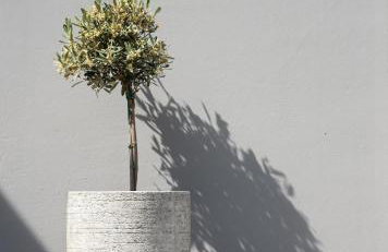 Kochyli Garden Studios - Foto 9