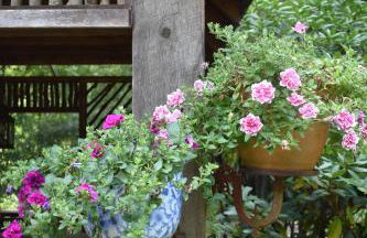 Restored1850s log cabin, with gazebo and gardens! 1 mile to downtown Weaverville - Foto 27