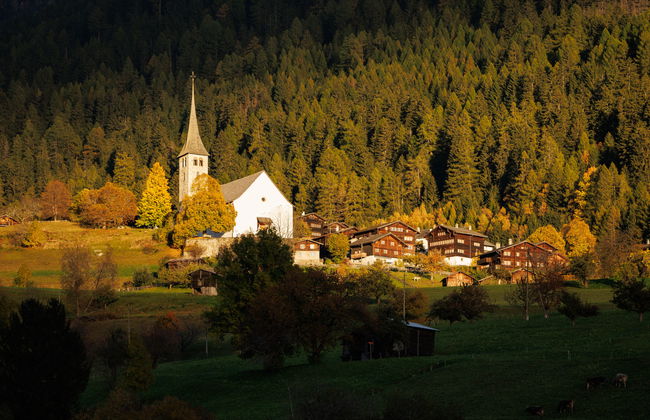 Aragon T100 - Foto 72