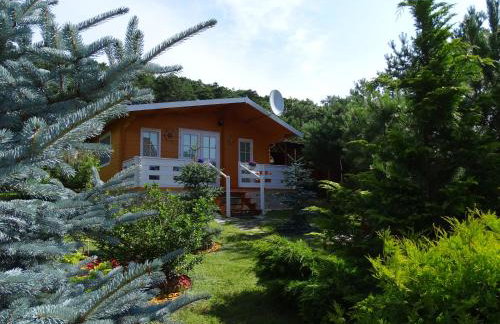 Lesny domek - Foto 2