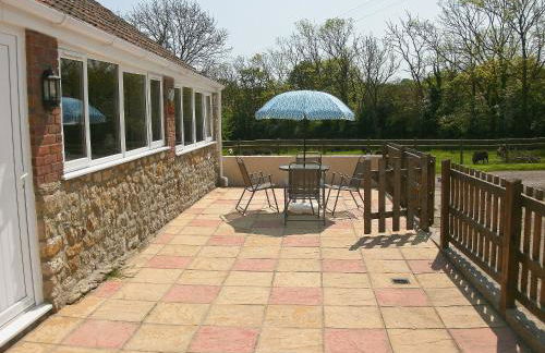 Woodpecker - Photo 10