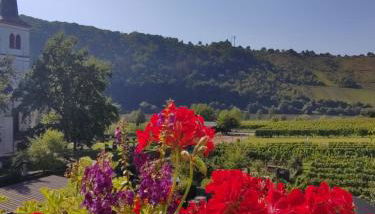 Ti's Herberge - Foto 3