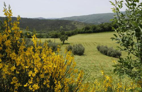 Historic Farmhouse In The Tuscan Hills - Foto 19