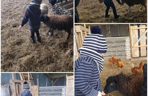 La grange de Victor 12/14 pers - Mont-Saint-Michel - Foto 49