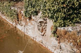 le bois de Selves - Maison authentique avec vue exceptionnelle - Foto 8