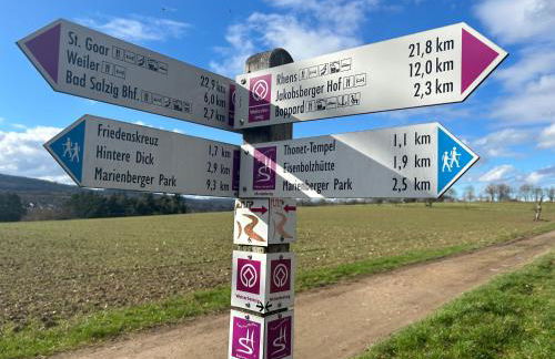 Traumpfade - Foto 17