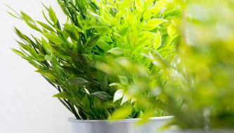 Sweet little Home - Foto 2