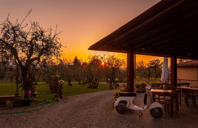 Agriturismo Bellosguardo - Photo 21