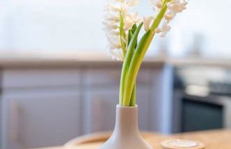 Ferienwohnung Bergzeit - Foto 22