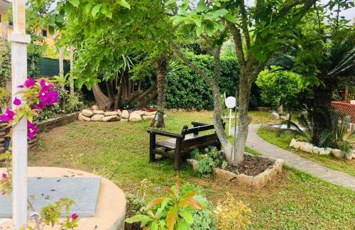 Appartamenti Andolfi - Foto 15