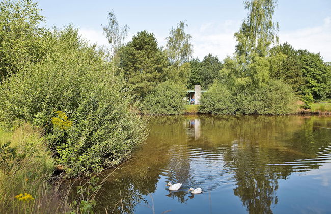 Center Parcs Limburgse Peel - Photo 43