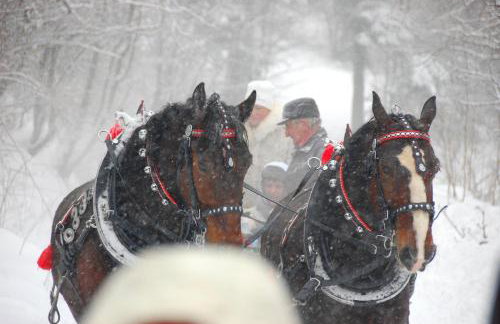 Koperkowe Rancho Beskid Wyspowy Domek Małopolskie KAMIONNA - Foto 1