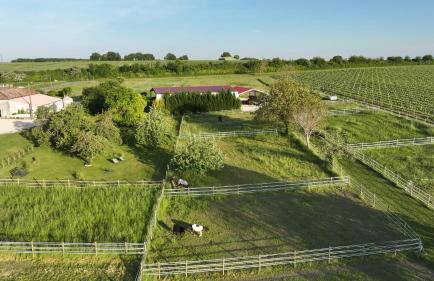 Studio du domaine équestre B & G - Foto 27