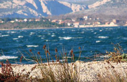 Studio Apartment Maslina - Photo 37