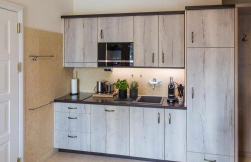 Villa Schmidt Apartments - Strandhaus direkt am Meer mit Sauna, Sport und Dünengarten - Klassik - Foto 6