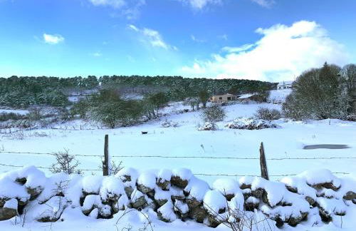 Casa Urbión-Pinares de Soria - Foto 44