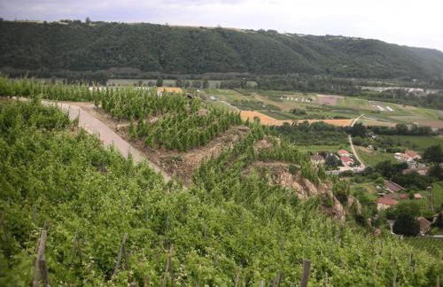 La Villa Noyau Doux - Foto 24