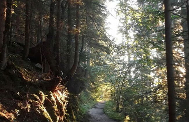 Holiday Apartment on the Slope - Foto 18