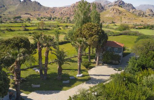 Heliotopos - Photo 38