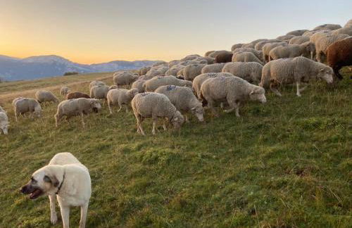 LE SECOND SOUFFLE Maison proche centre ville de Die tout peut se faire à pied gare SNCF marché U express rivière - Foto 24