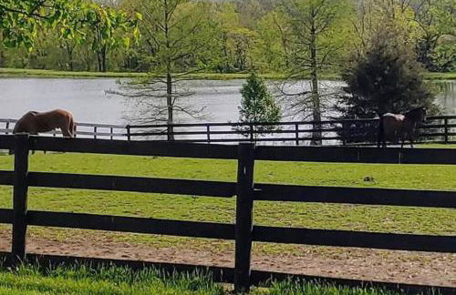 102 Acre Pet Friendly Horse Farm! Bring your horse too! - Foto 28