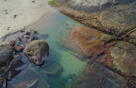 Vila Ebert - Foto 45