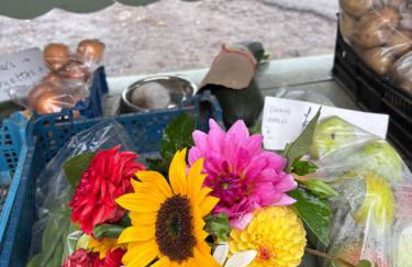 46 Gower Holiday Village with Swimming pool - Foto 32