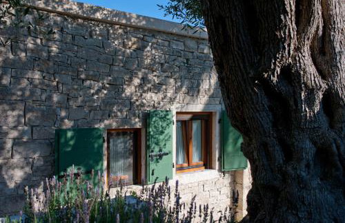 Kiparissi - Photo 65