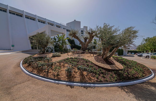 MarSenses Rosa del Mar Hotel & Spa - Photo 75