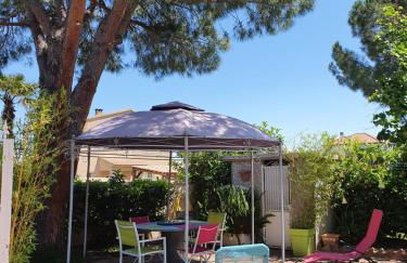 Villa les palmiers -Stretta di i mandarini - Foto 8