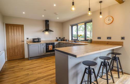 Mynydd Y Glyn Lodge - Foto 12