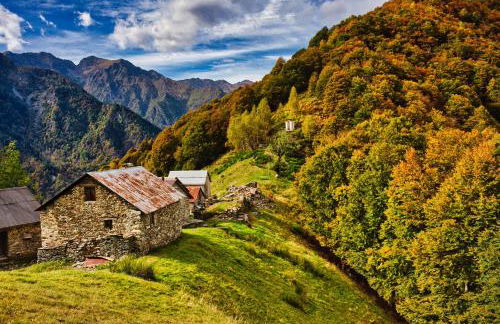 Stones and Pines - Foto 8