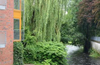 Ferienwohnung im Stadthaus - zwei Schlafzimmer - Foto 15