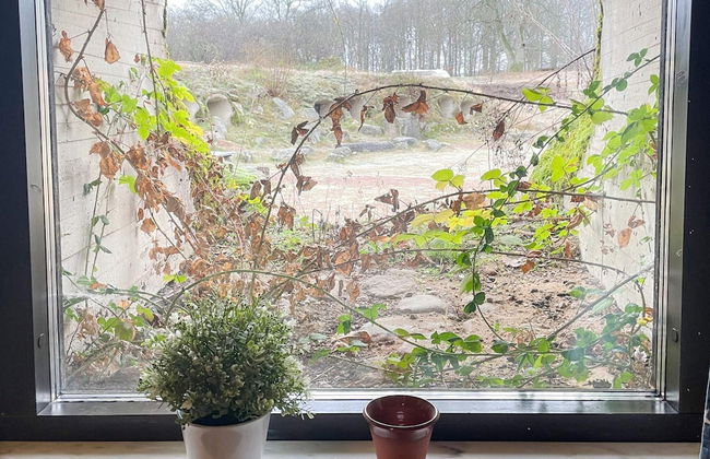 4 Person Holiday Home in Hoor - Foto 7