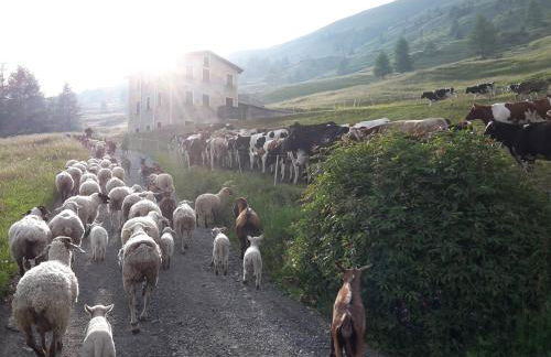 Agriturismo Raethia - Foto 53