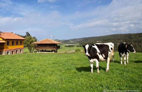 Casa Villa Mey - Foto 55